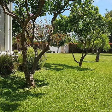 Bed and Breakfast La 'nzina 3*